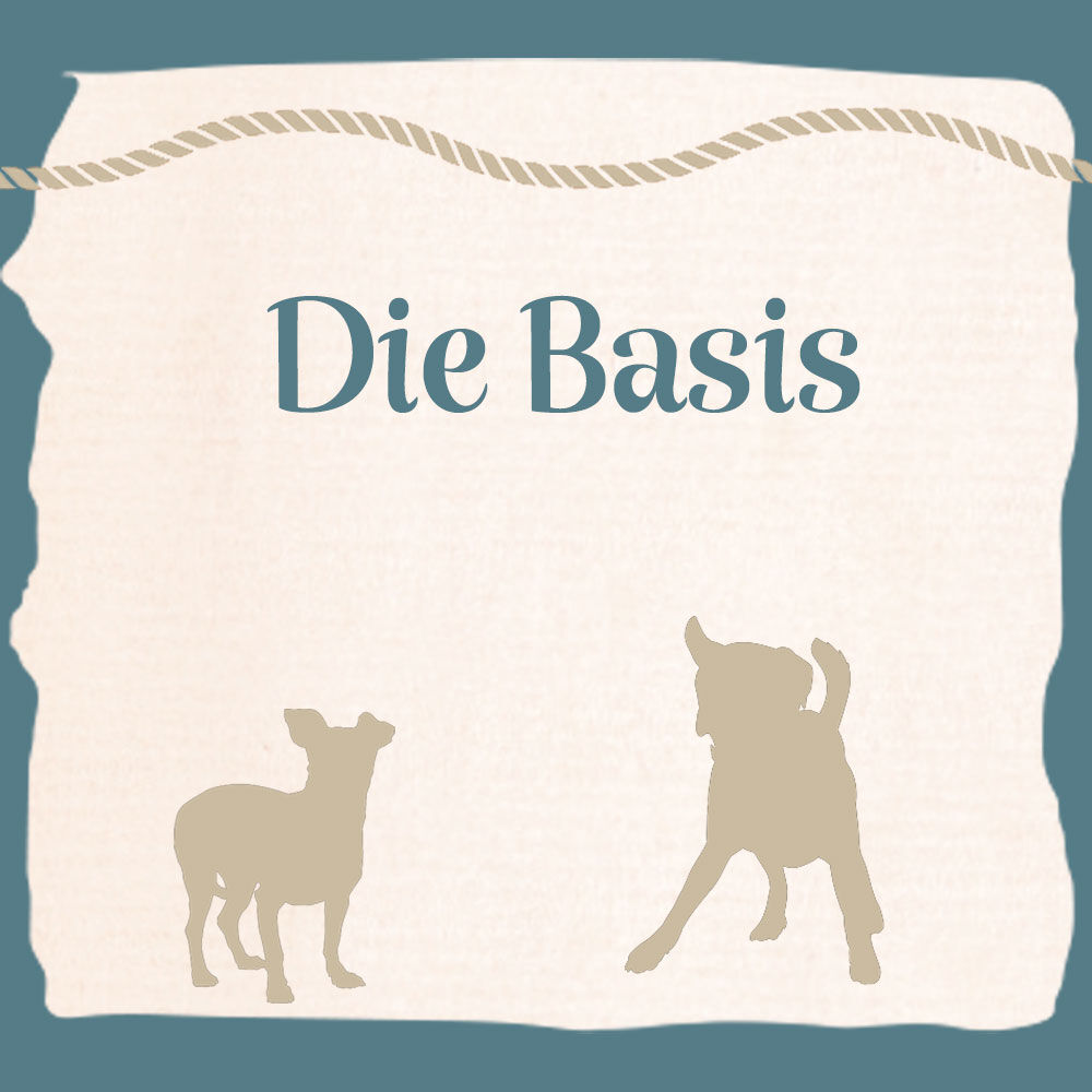 Die Basis