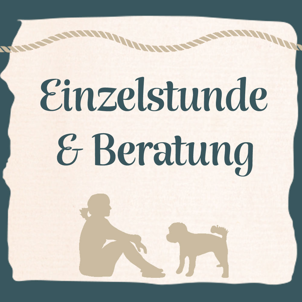 Einzelstunde