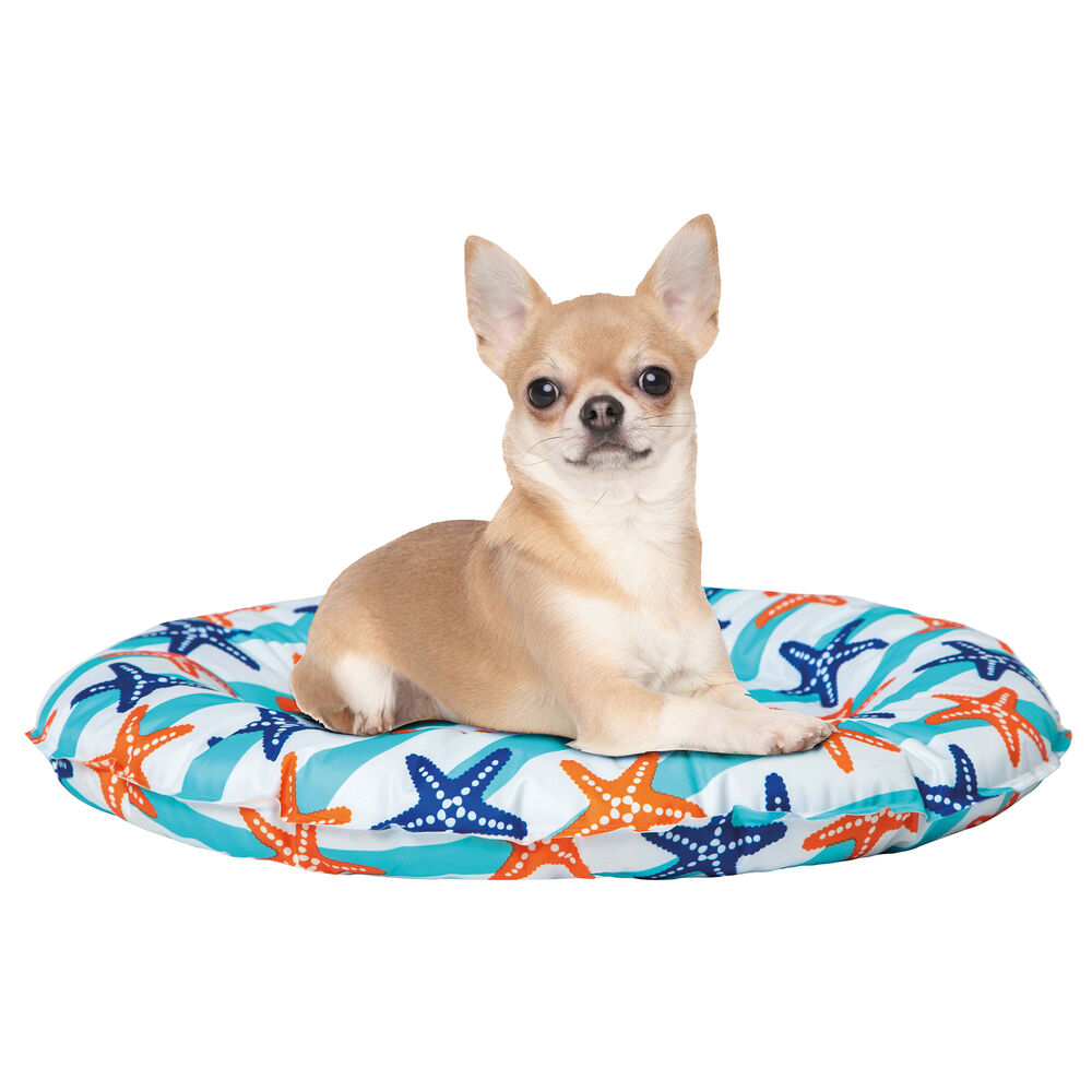 FREEDOG Khlbett Seestern