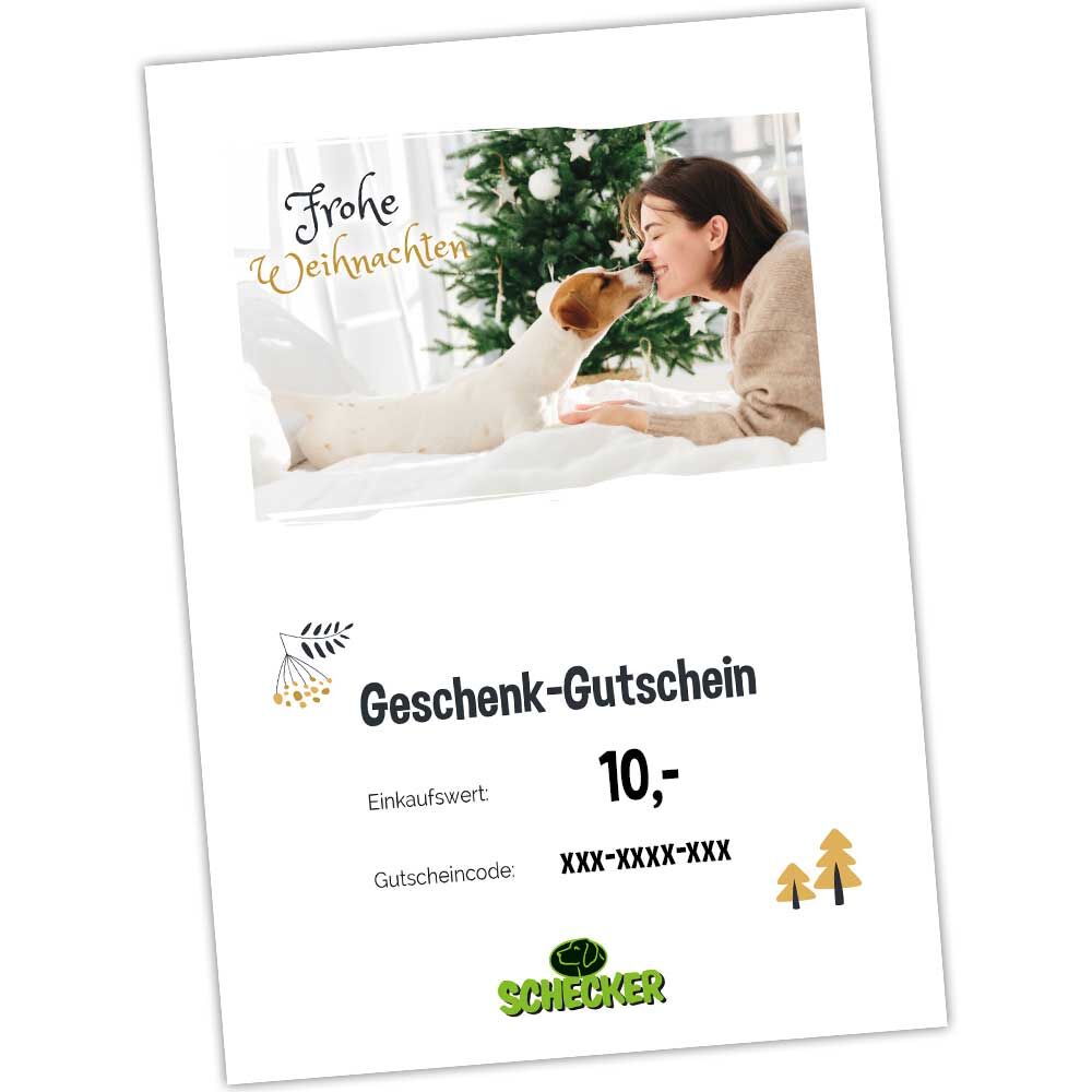 Geschenk-Gutschein zum Ausdrucken, Frohe Weihnachten