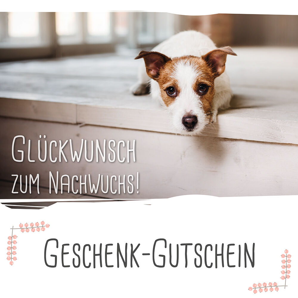 Sprche Zur Geburt Eines Baby Lustig Nachdenklich Sprche Zur Geburt Eines Baby Lustig Nachdenklich