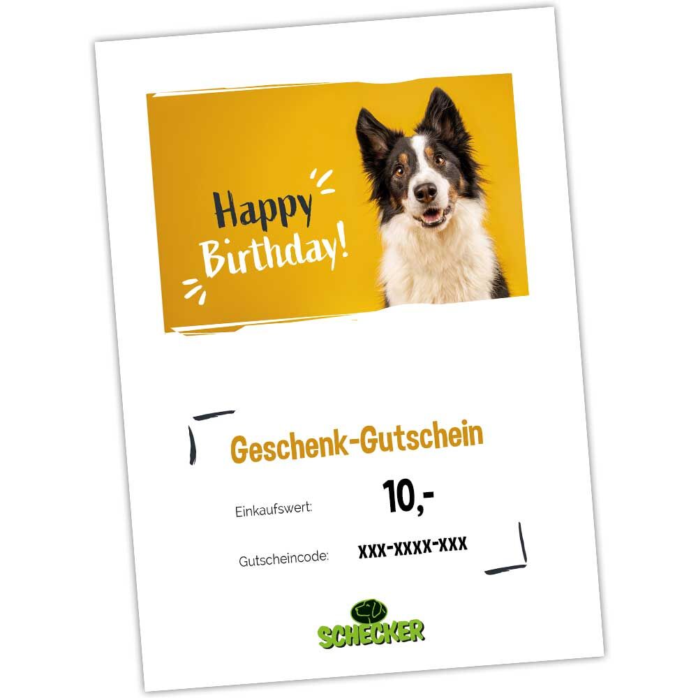 Geschenk-Gutschein zum Ausdrucken, Happy Birthday