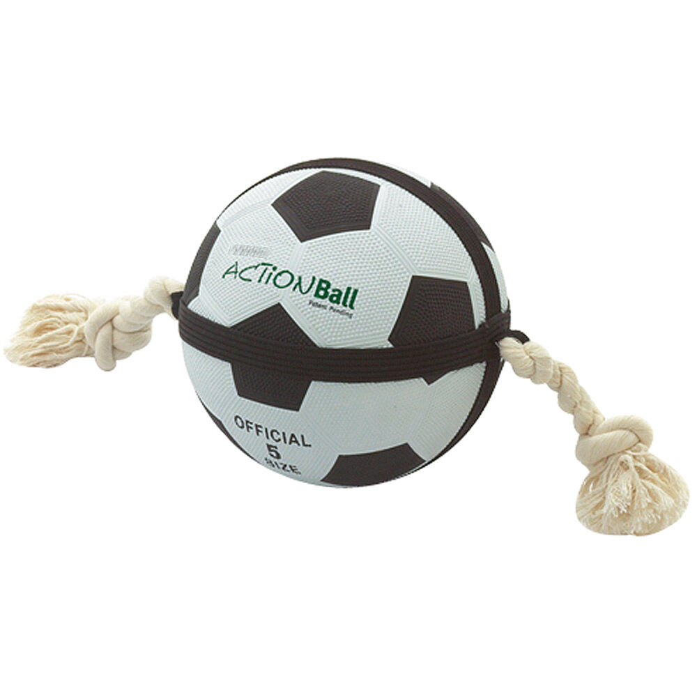 HundeFußball mit Greifseilen Das Original kaufen bei Schecker!