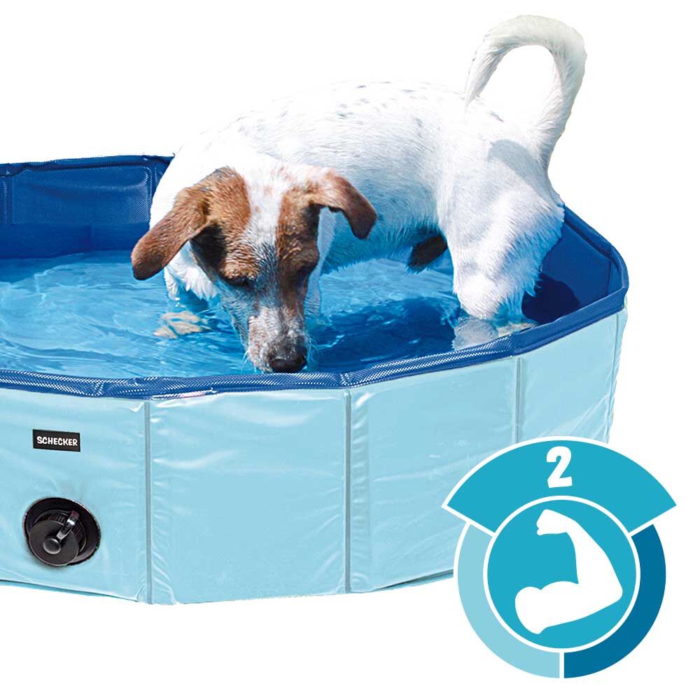 Forever Speed Hundepool,Doggy Pool,Katzenpool,Faltbares Pool,Kinderbadewann,Umweltfreundliche PVC/rutschfest/Gut Abgedichtet-Haustiere/Geschenke der Kinder