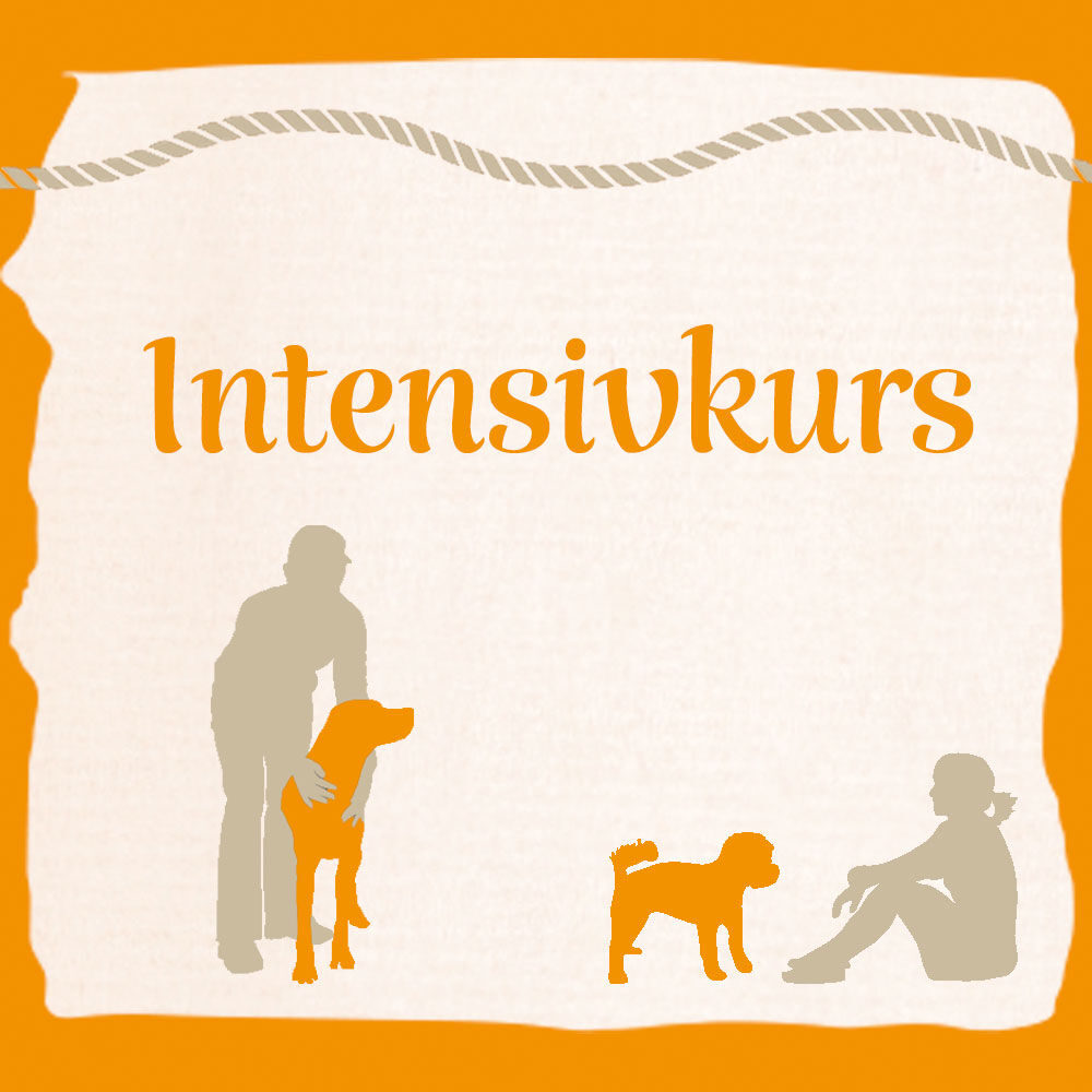 Intensivkurs