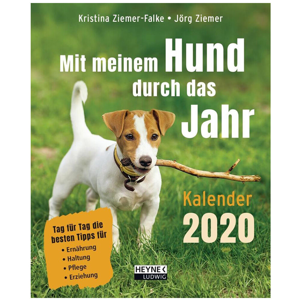 mit meinem hund durch das jahr kalender 2020