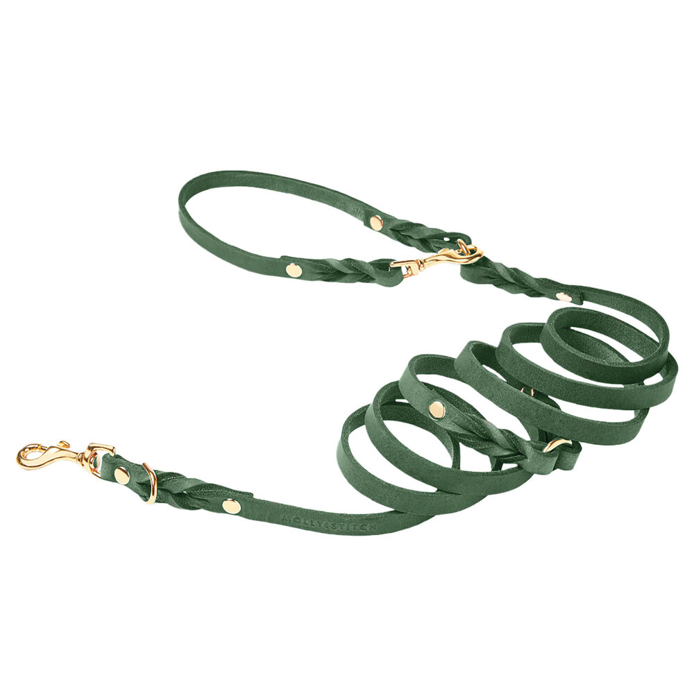 Molly & Stitch Butter 3x verstellbare Leder Hundeleine