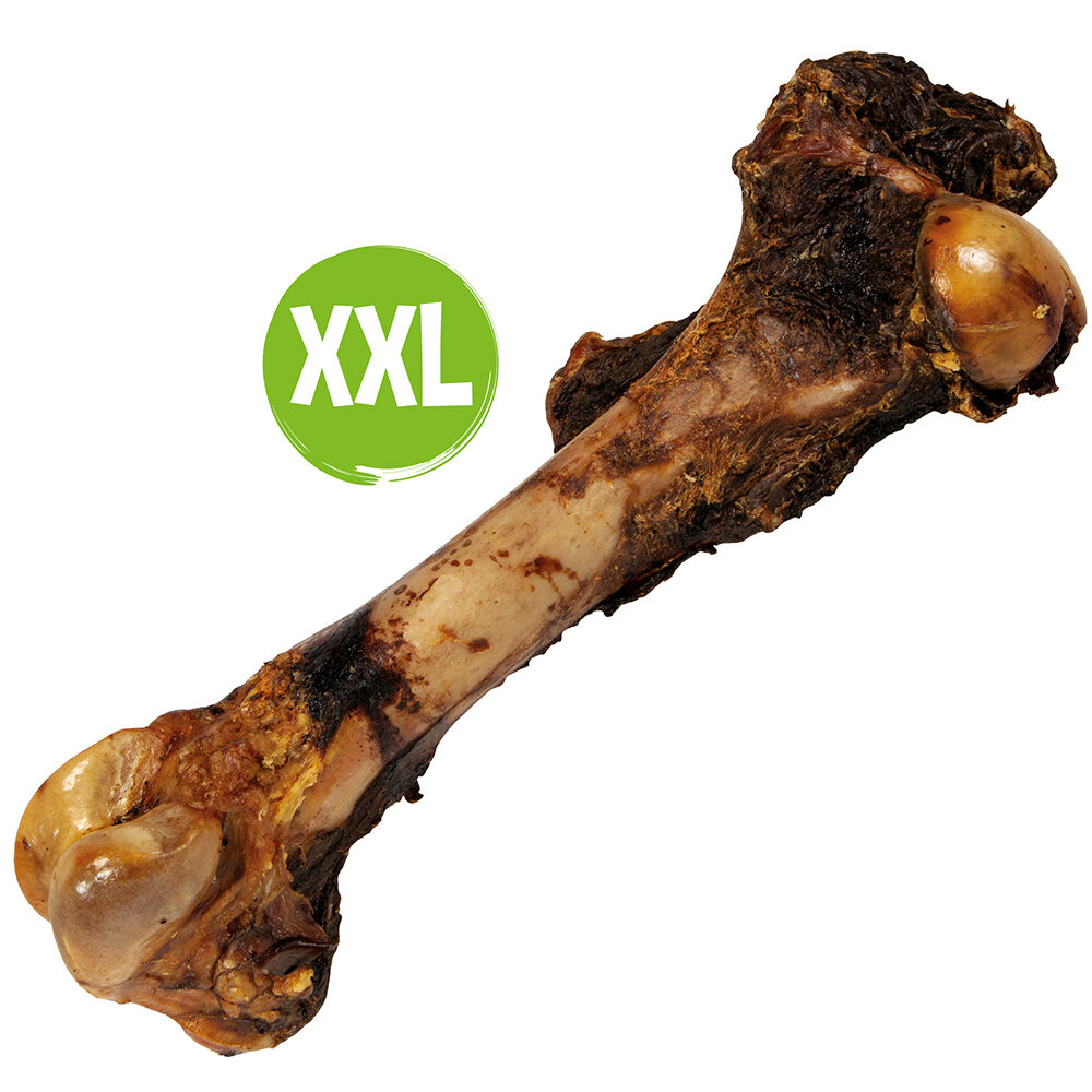 Pferdeknochen XXL kaufen bei Schecker!
