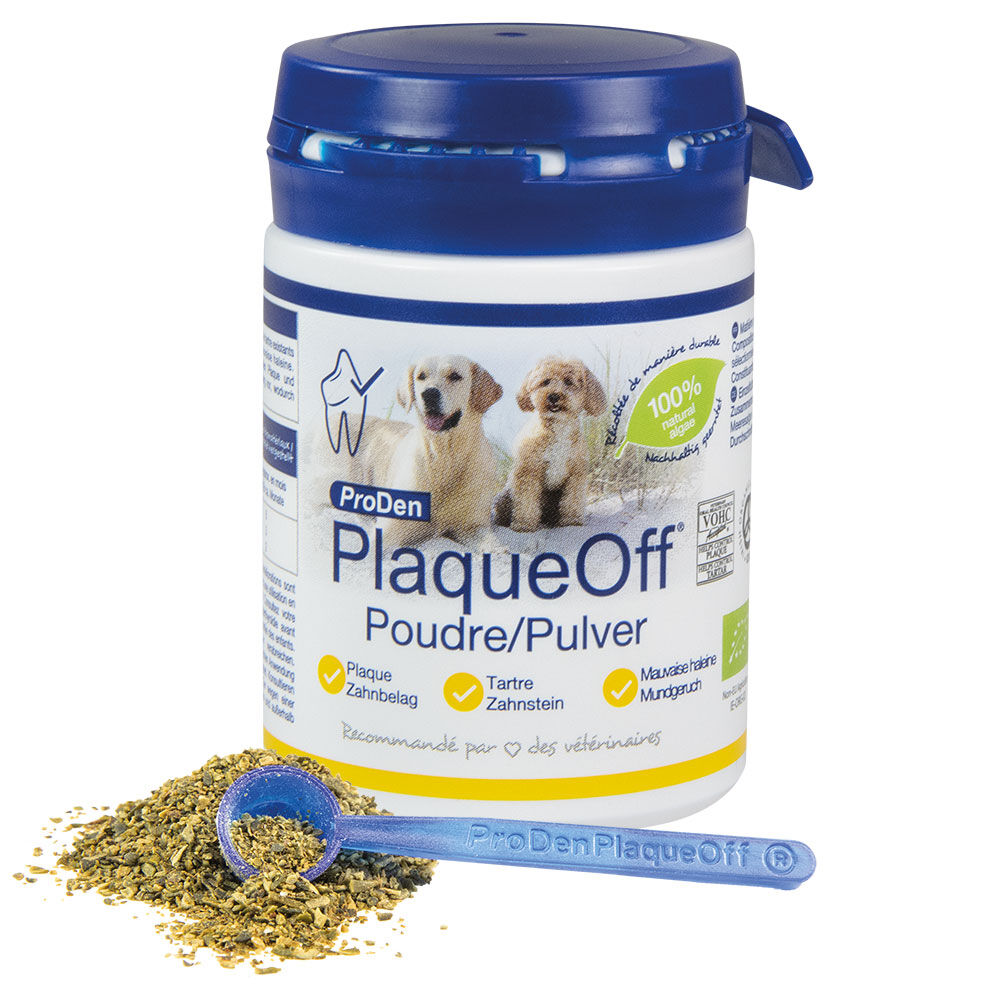 Ambient telt last PlaqueOff®-Pulver kaufen bei Schecker.de