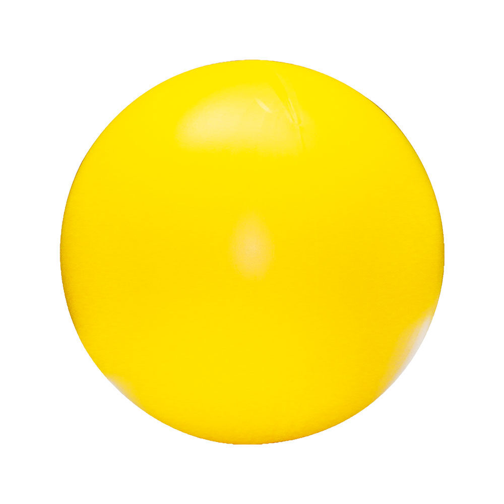 Procyon Treibball