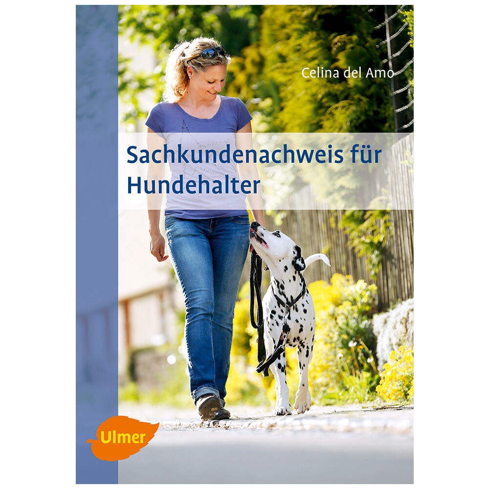 Sachkundenachweis für Hundehalter: So bestehen Sie den