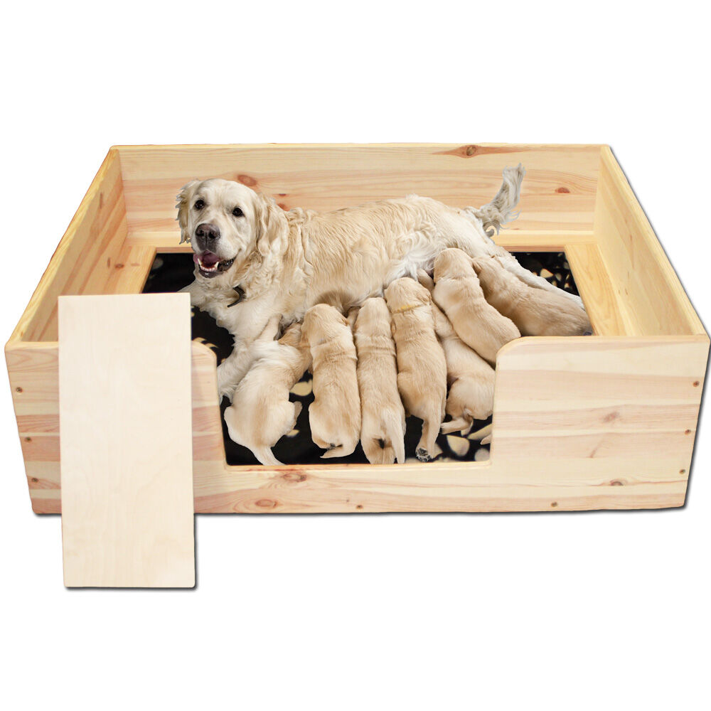 Welpen Wurfbox Kaufen Bei Schecker
