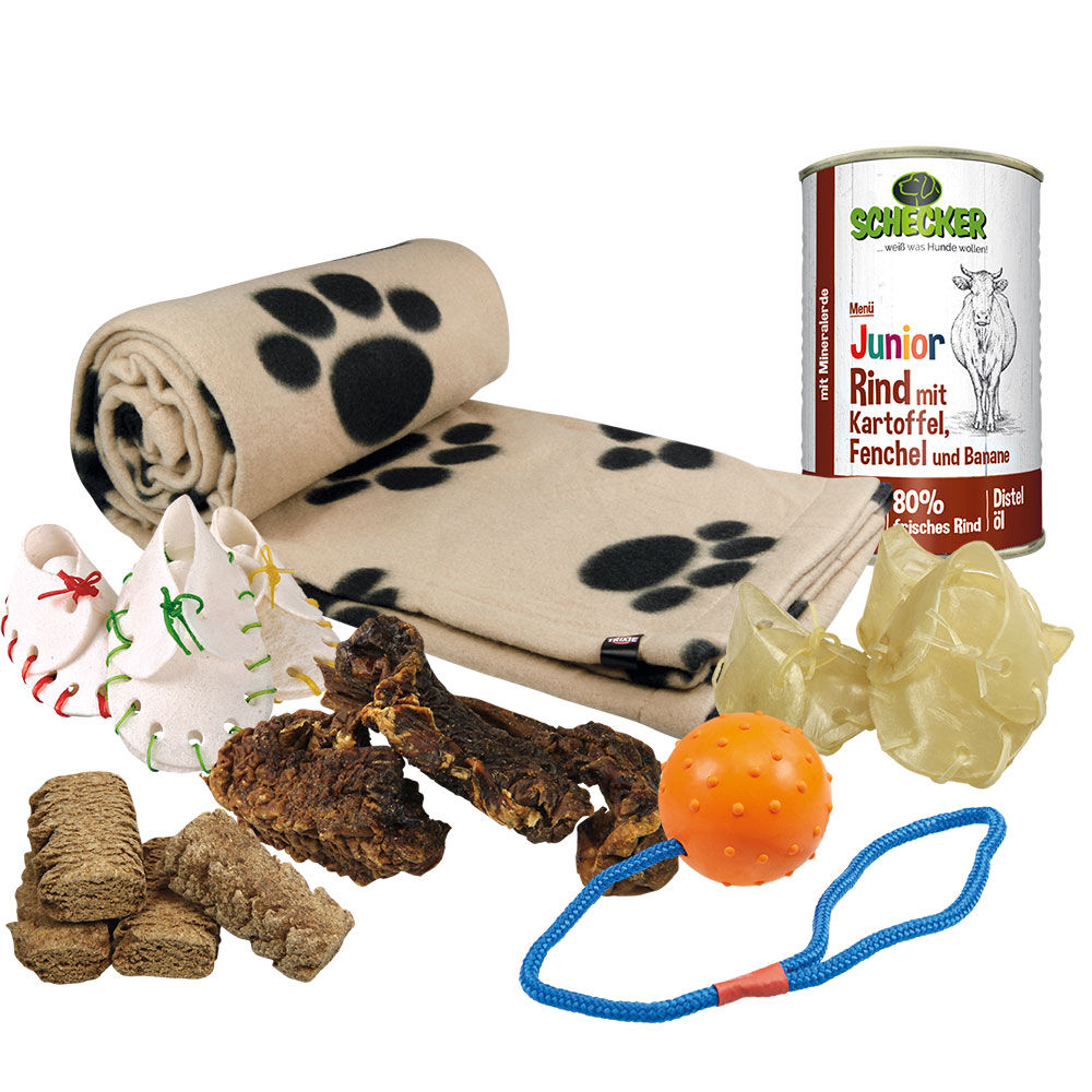 welpenpaket online kaufen schecker onlineshop