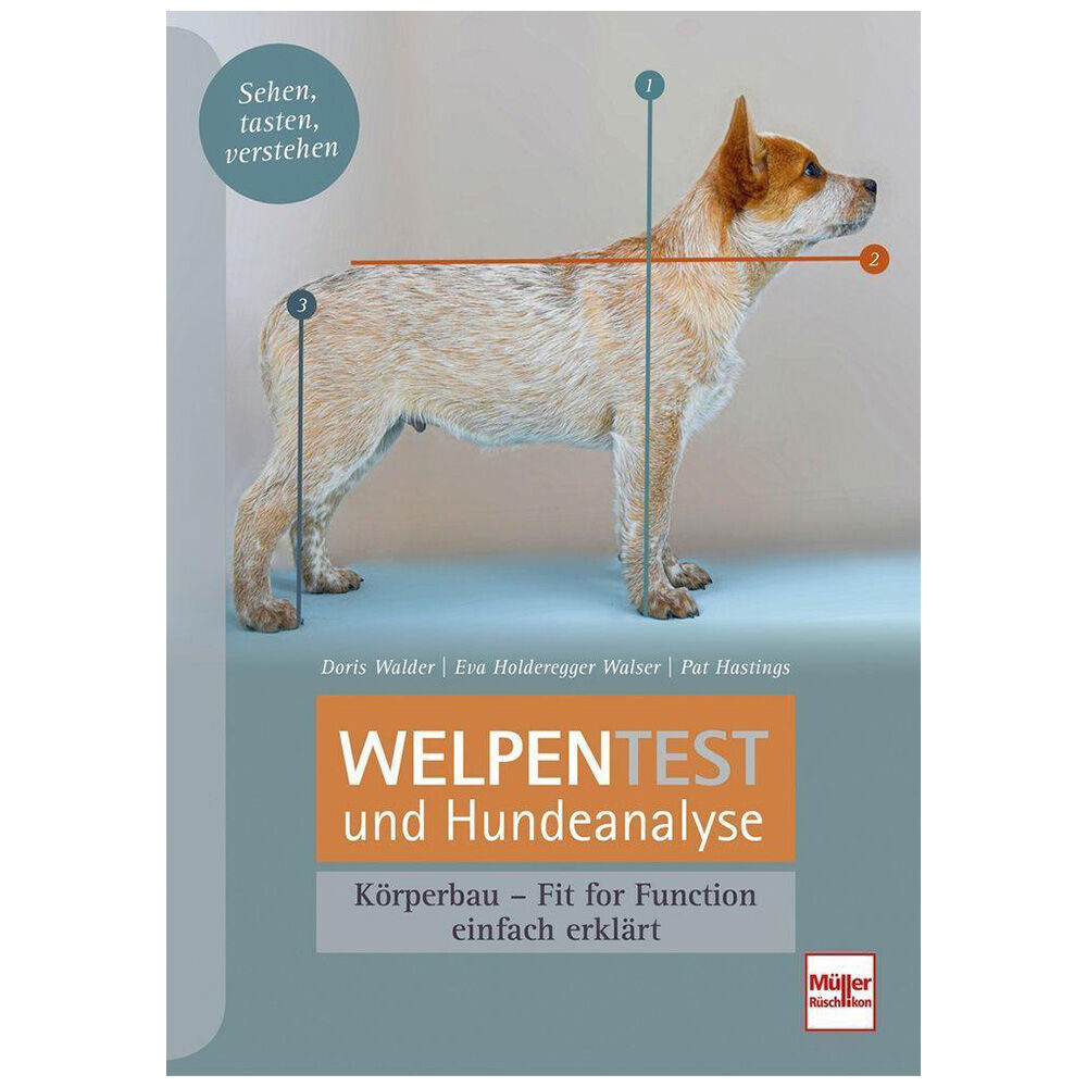 Welpentest und Hundeanalyse