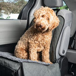 Auto-Schondecke Dirty Dog