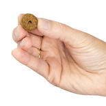 Schecker Hundefutter Weiche Ringe mit Geflgel Reis