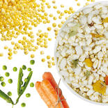 Veggie-Mix mit Reis + Sorghum (RS-Mix)