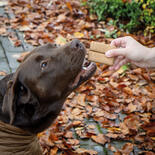 Hundekuchen