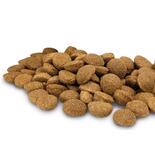 Schecker Knusper-Brocken mit Ente