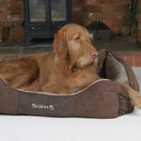 SCRUFFS Chester Box Bett - Chocolate -