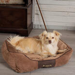 SCRUFFS Chester Box Bett - Chocolate -