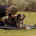 FuzzYard Active Roll-Up Hunde-Reisematte