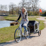 Trixie Hundeanhnger fr Fahrrder - Gre M - grau/salbei