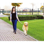 Walky Dog Plus die 3. Hand am Fahrrad kaufen bei Schecker