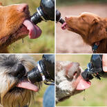 Hunde-Wasserflasche Long Paws, Farbe: Bunt