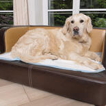 Trixie Inkontinenzmatten fr Hunde
