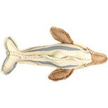 Canvas Delphin