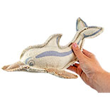 Canvas Delphin