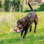 Nobby Nylon Wasserspielzeuge