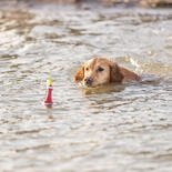 Trixie Hundespielzeug Aqua Toy Snack Boje