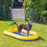 Beeztees Hundepool Palmy