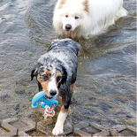 Nobby Hunde-Wasserspielzeug Anker mit Seil
