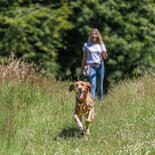 Trainingstasche - gro -