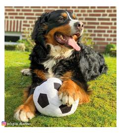 Indoor-Fussball