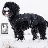 DogBite Winterjacke, gefüttert - Farbe: Schwarz