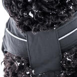 DogBite Winterjacke, gefüttert - Farbe: Schwarz
