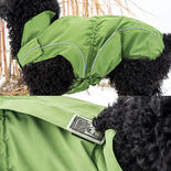 DogBite Regenjacke, Farbe: Grün