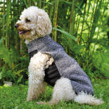 DogBite Sweat-Jacke