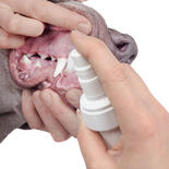 Beaphar Zahnpflege Zerstäuber