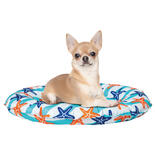 FREEDOG Khlbett Seestern