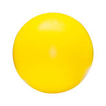 Procyon Treibball