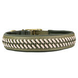 Trendfhrte Hundehalsband BioThane