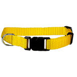 Welpen-Halsbnder: Fr einen Halsumfang von 20 - 30 cm, 10 mm breit