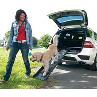 Easy-Loader "Kunststoff", PKW-Einstiegshilfe für Hunde
