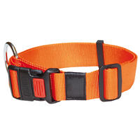 Nylon-Halsband "Sportiv", Farbe: Orange