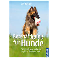 Beschäftigung für Hunde